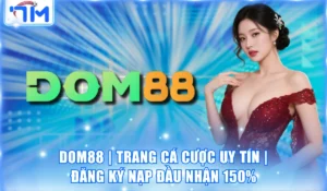DOM88